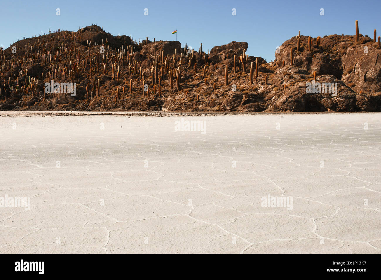 Isla del pescado (Fish island), Uyuni salt flats, Bolivia, South America Stock Photo