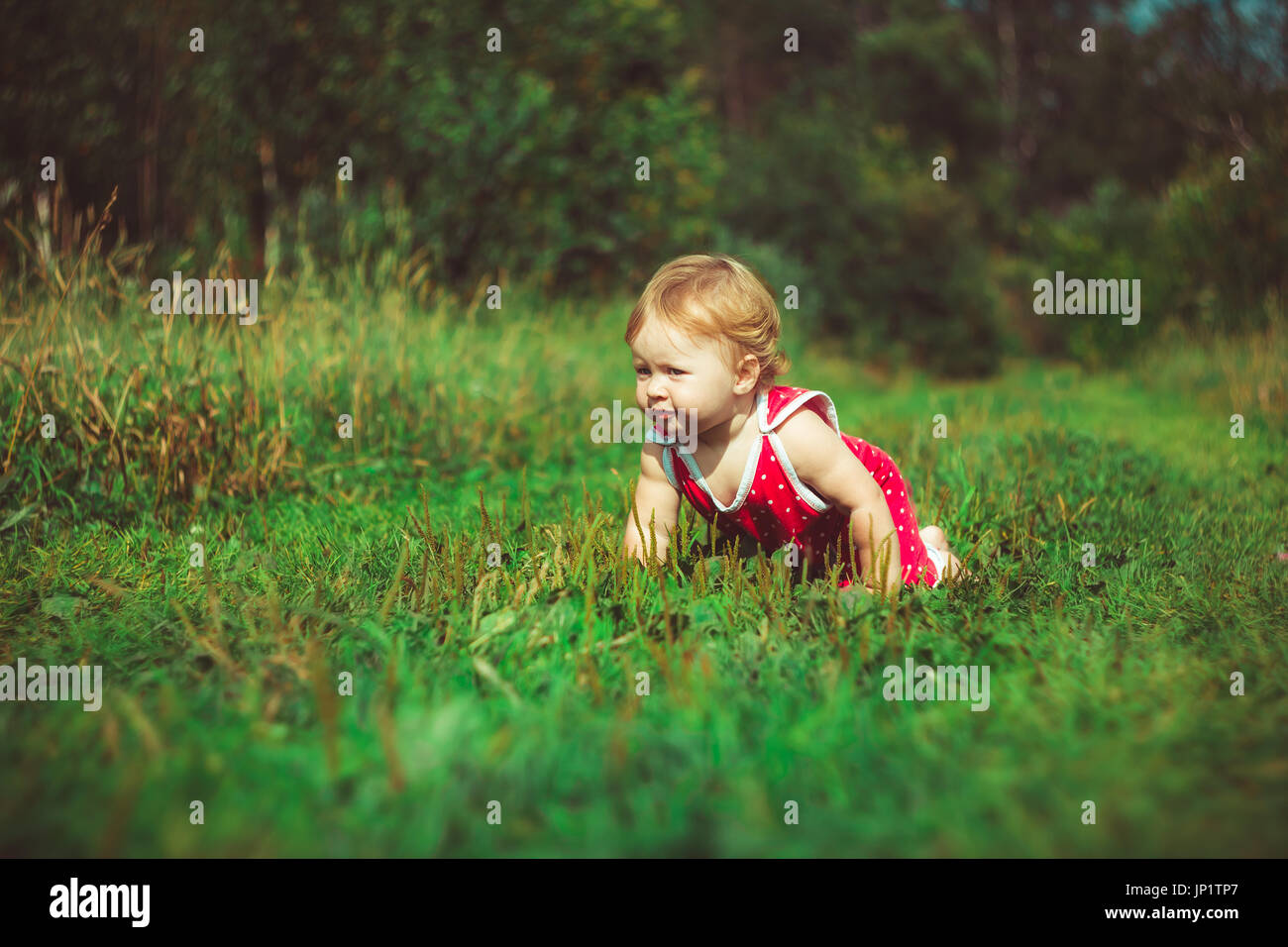 Little girl in a dress sitting on the grass Stock Photo - Alamy