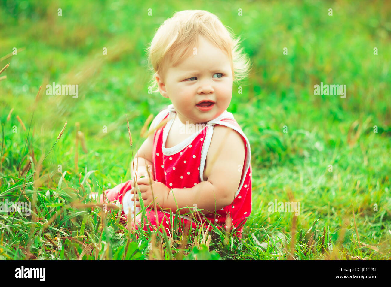 Little girl in a dress sitting on the grass Stock Photo - Alamy