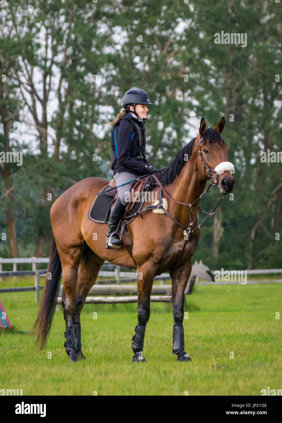 Young woman equestrian rider mounted on a young gelding horse during a