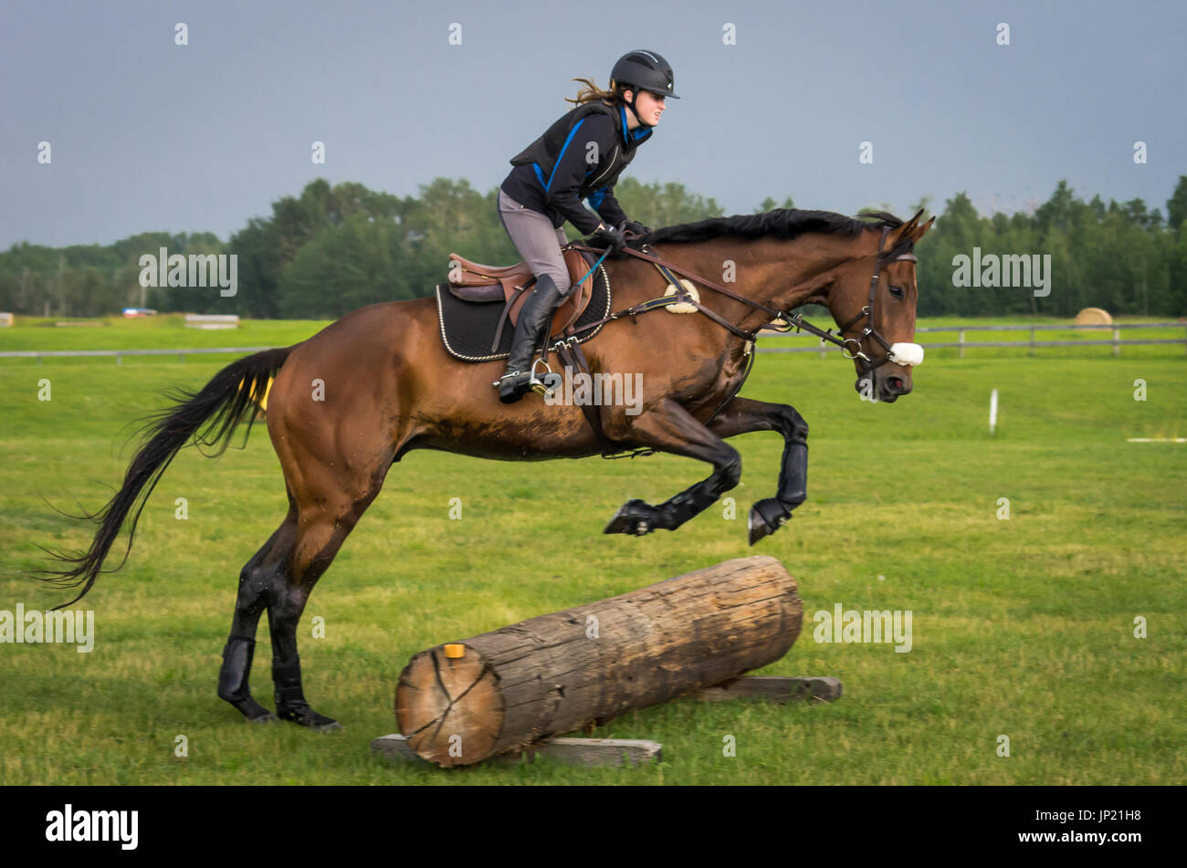 Young woman riding a gelding and practicing jumping over a log obstacle at an equestrian training facility near Red Deer, Alberta, Canada Stock Photo