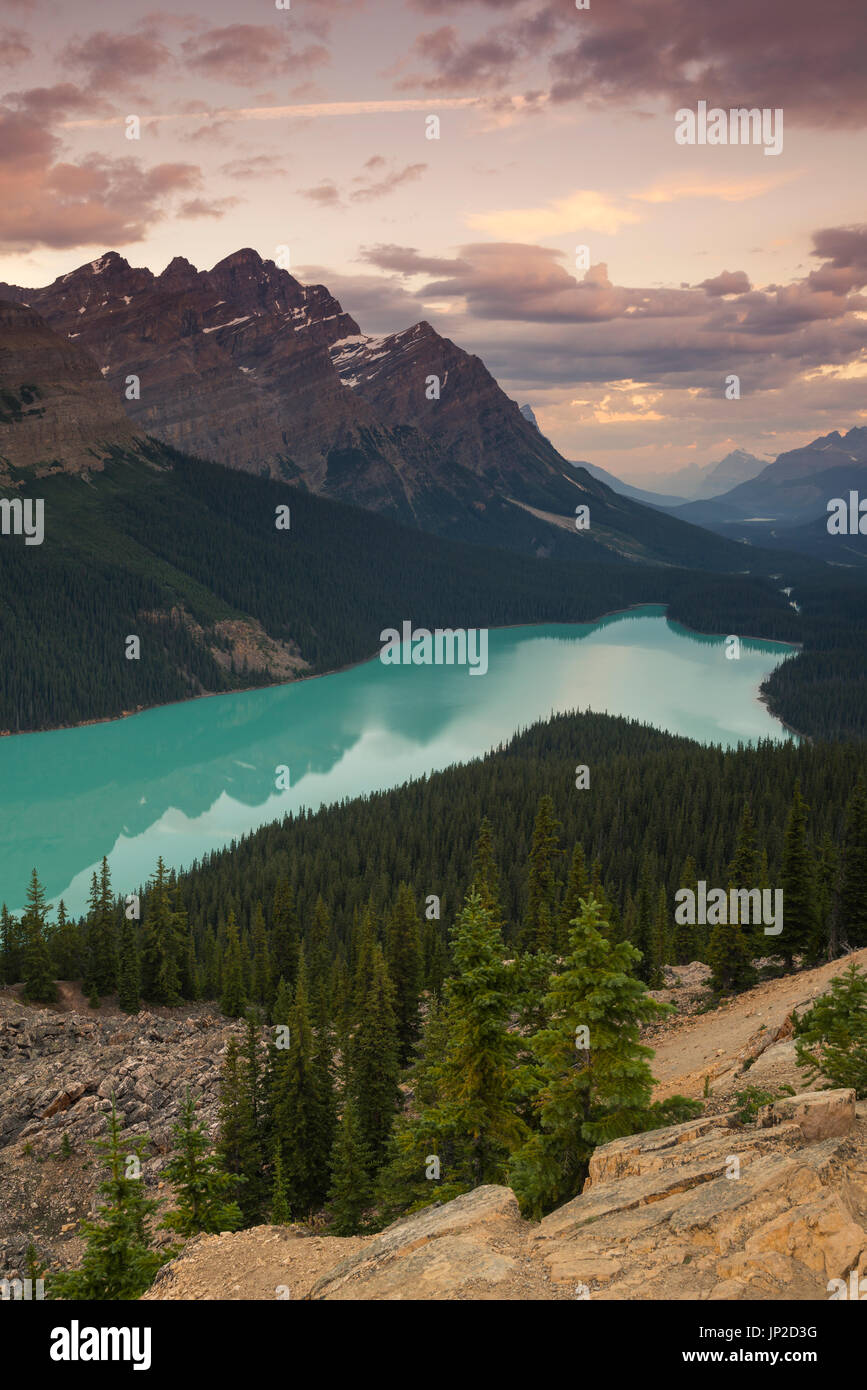 Peyto Lake in Banff National Park, Alberta, Canada Stock Photo - Alamy