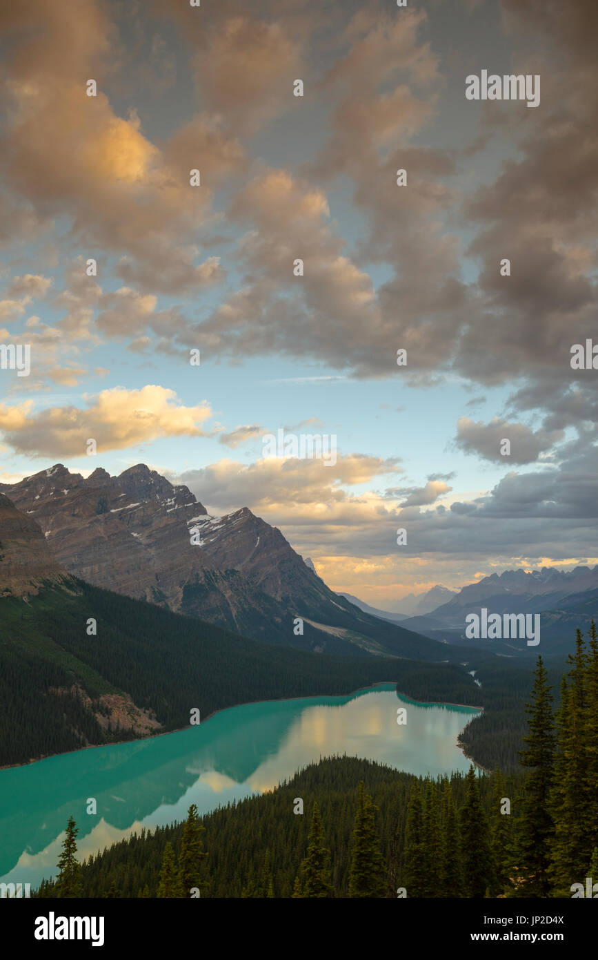 Peyto Lake in Banff National Park, Alberta, Canada Stock Photo - Alamy