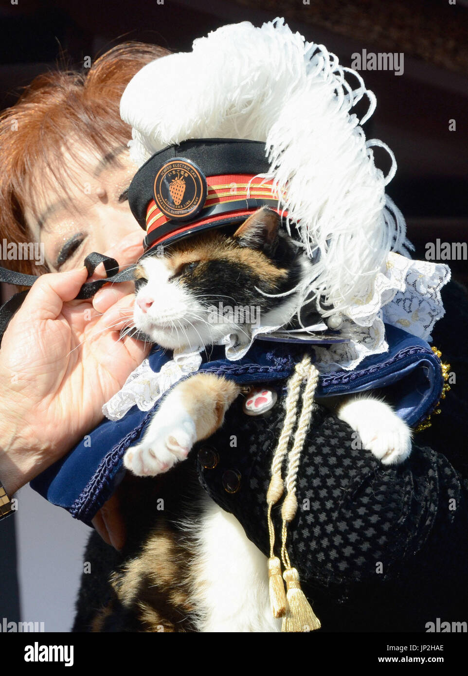WAKAYAMA, Japan Tama, a cat "station master" at Wakayama Electric