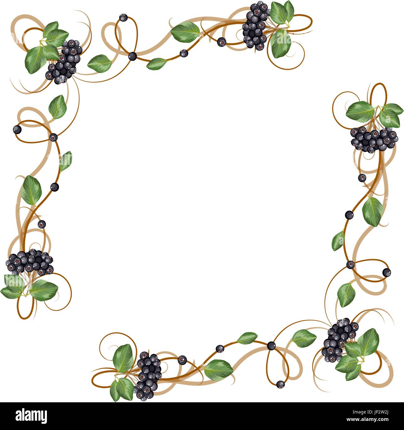 Delicate autumn frame Stock Vector Image & Art - Alamy