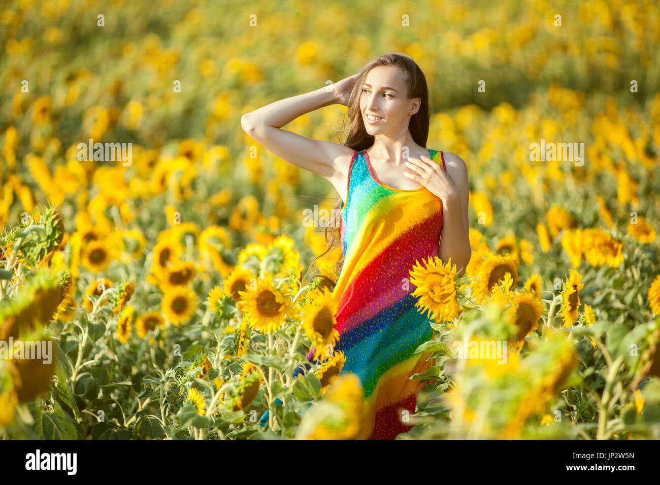 On the yellow field of sunflowers stands a young woman, a summer bright ...