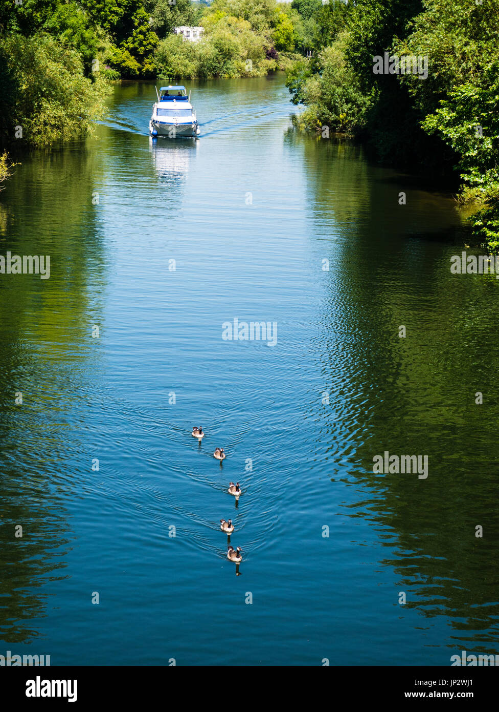 Boat Cursing on The River Thames, Bray, Maidenhead, Berkshire,England, UK, GB. Stock Photo