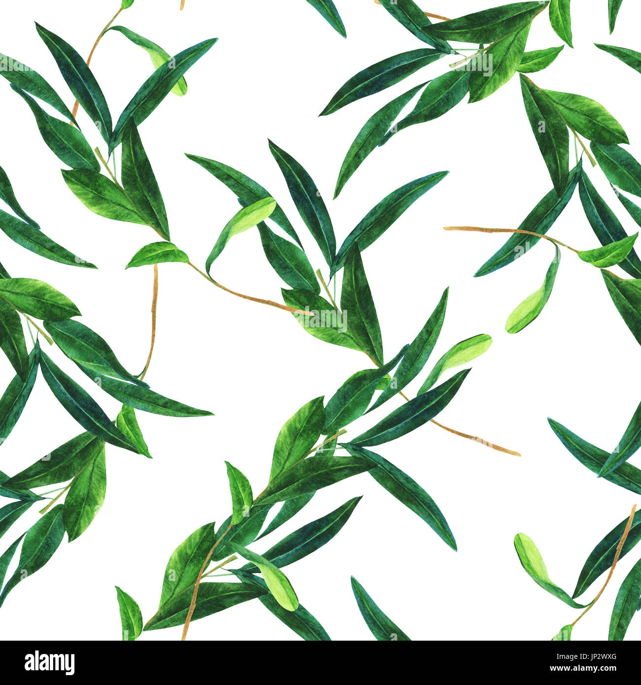 A seamless pattern with a watercolor drawing of a green olive branch on ...
