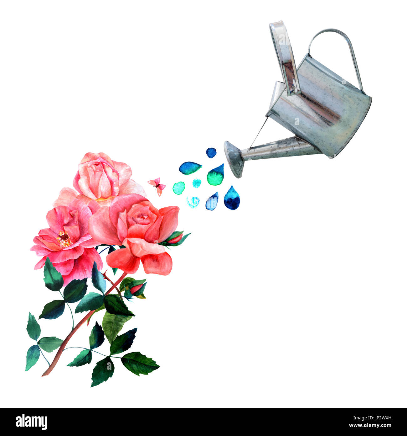A Collage Of Watercolor Drawings And A Photo Cutout. A Watering Can Pouring Water Over Vintage Style Red Roses With Many Green Leaves, With A Little P Stock Photo - Alamy