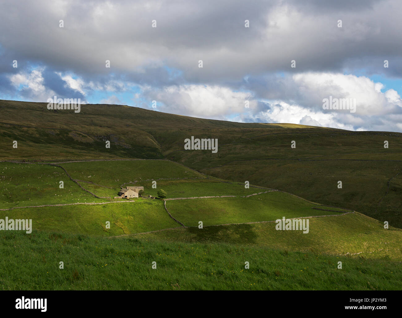 Farmhouse in Coverdale, Yorkshire Dales National Park, North Yorkshire, England UK Stock Photo