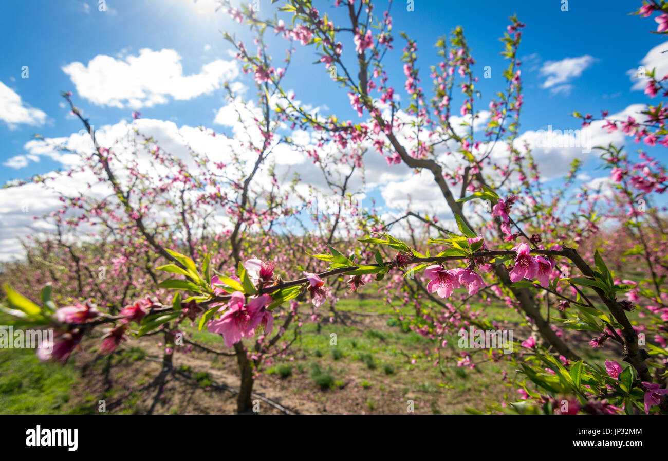 San_sebastian hires stock photography and images Alamy