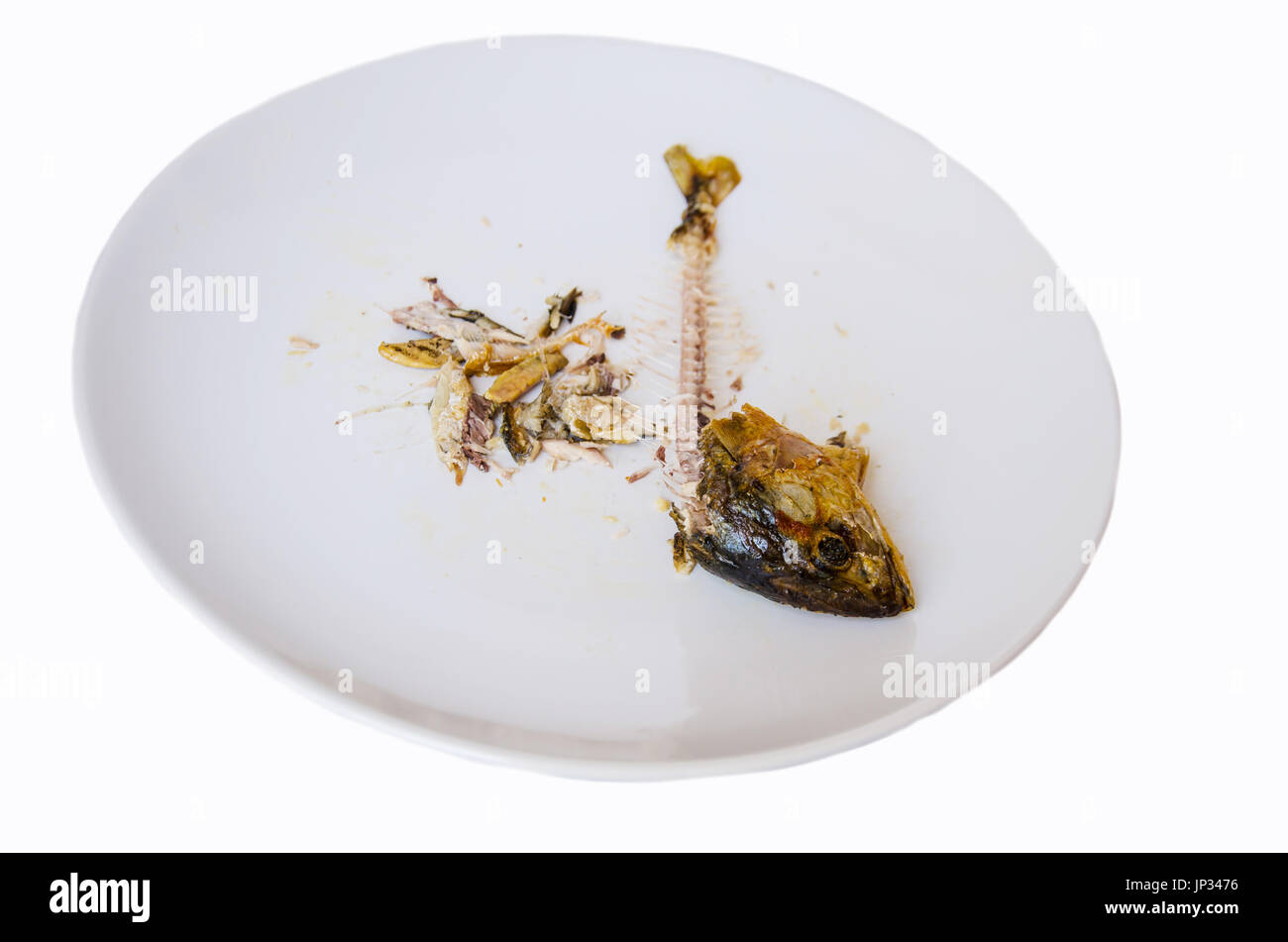 fish bone on dish from eating over on white background Stock Photo