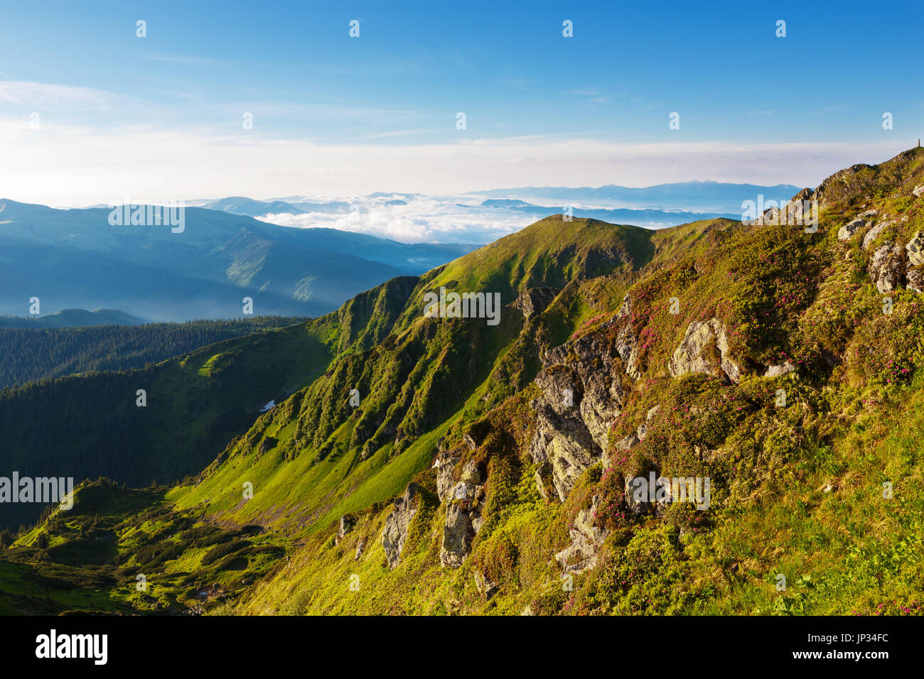 Magnificent view of the Carpathian Mountains in the morning Stock Photo ...