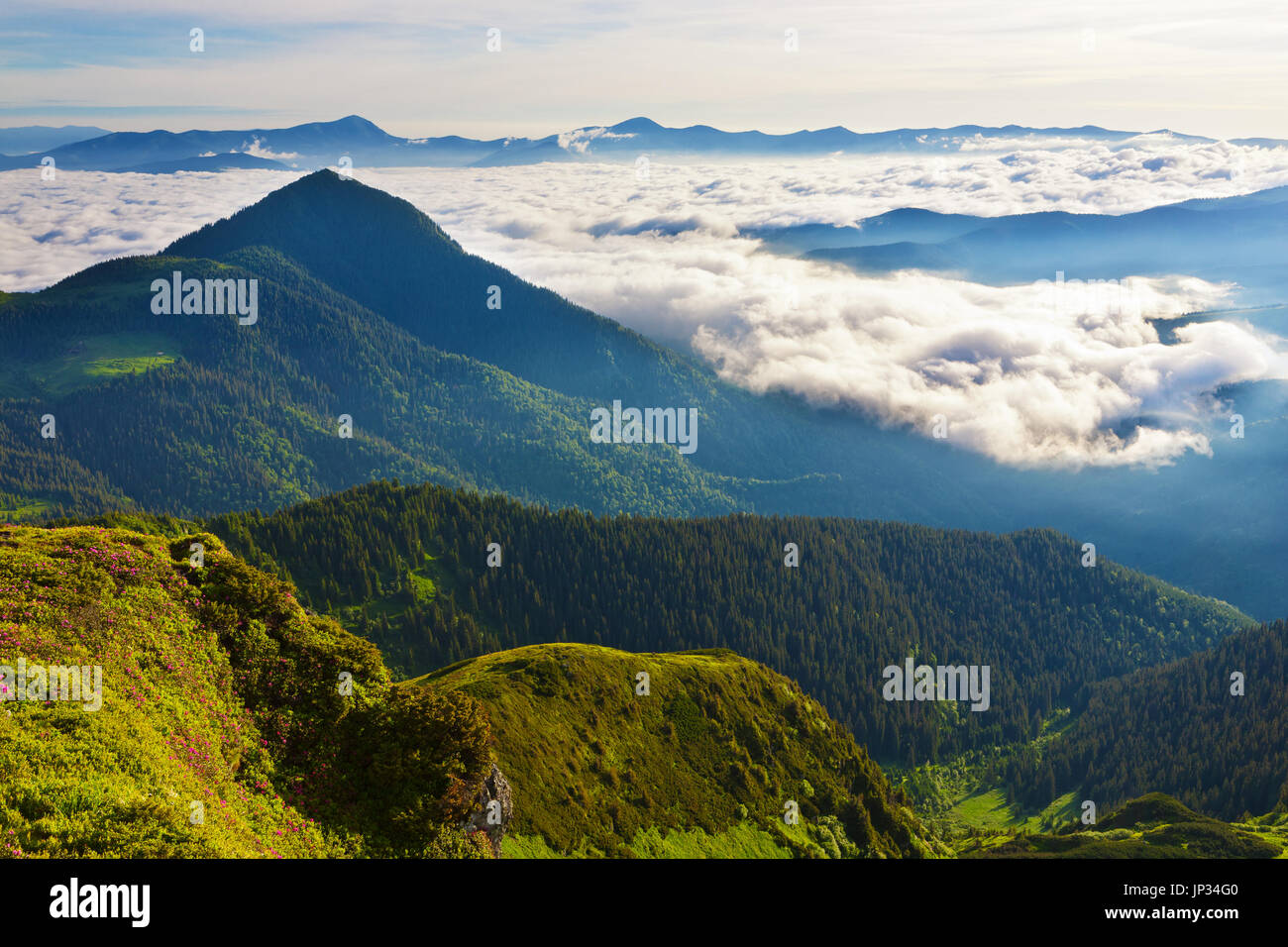 Magnificent view of the Carpathian Mountains in the morning Stock Photo ...
