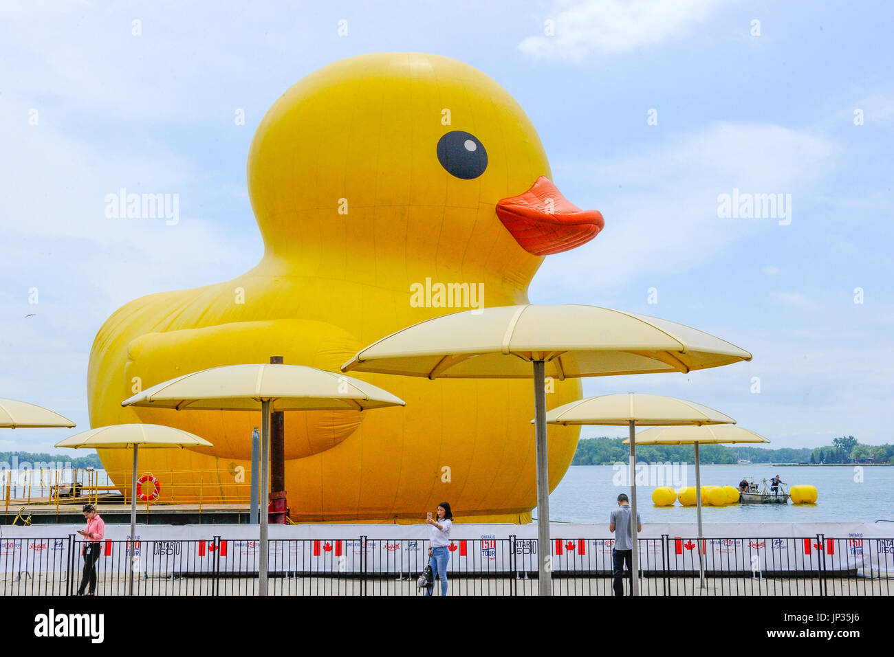 The World's largest Rubber Duck make it's Canadian debut on Toronto's waterfront to celebrate Canada 150th Birthday.  Featuring: Rubber Duck Where: Toronto, Ontario, Canada When: 30 Jun 2017 Credit: Dominic Chan/WENN.com Stock Photo