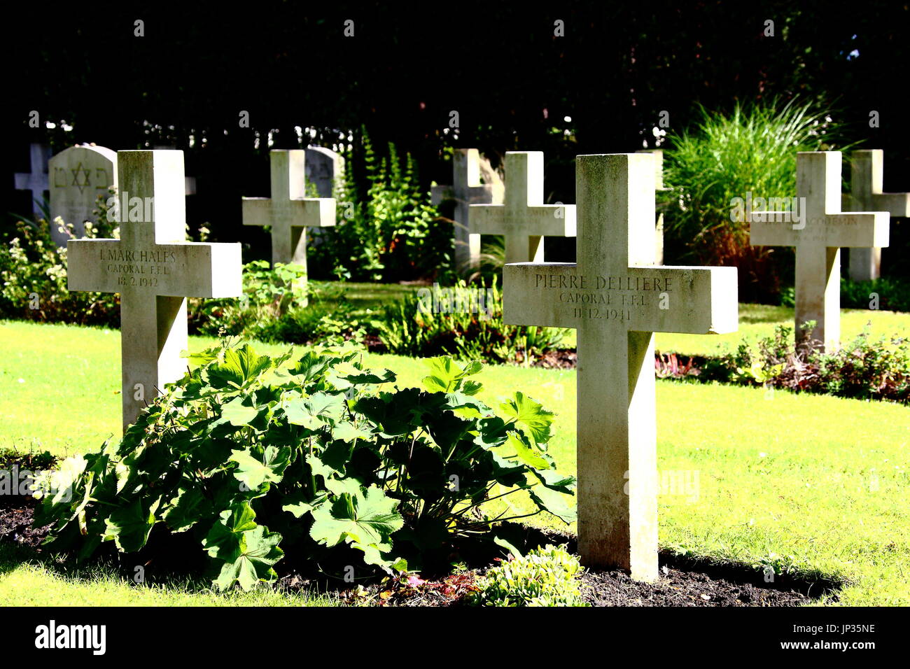 Brookwood Cemetery and Military Cemetery, also known as the London Necropolis, in Surrey. The largest cemetery in the United Kingdom established 1852. Stock Photo