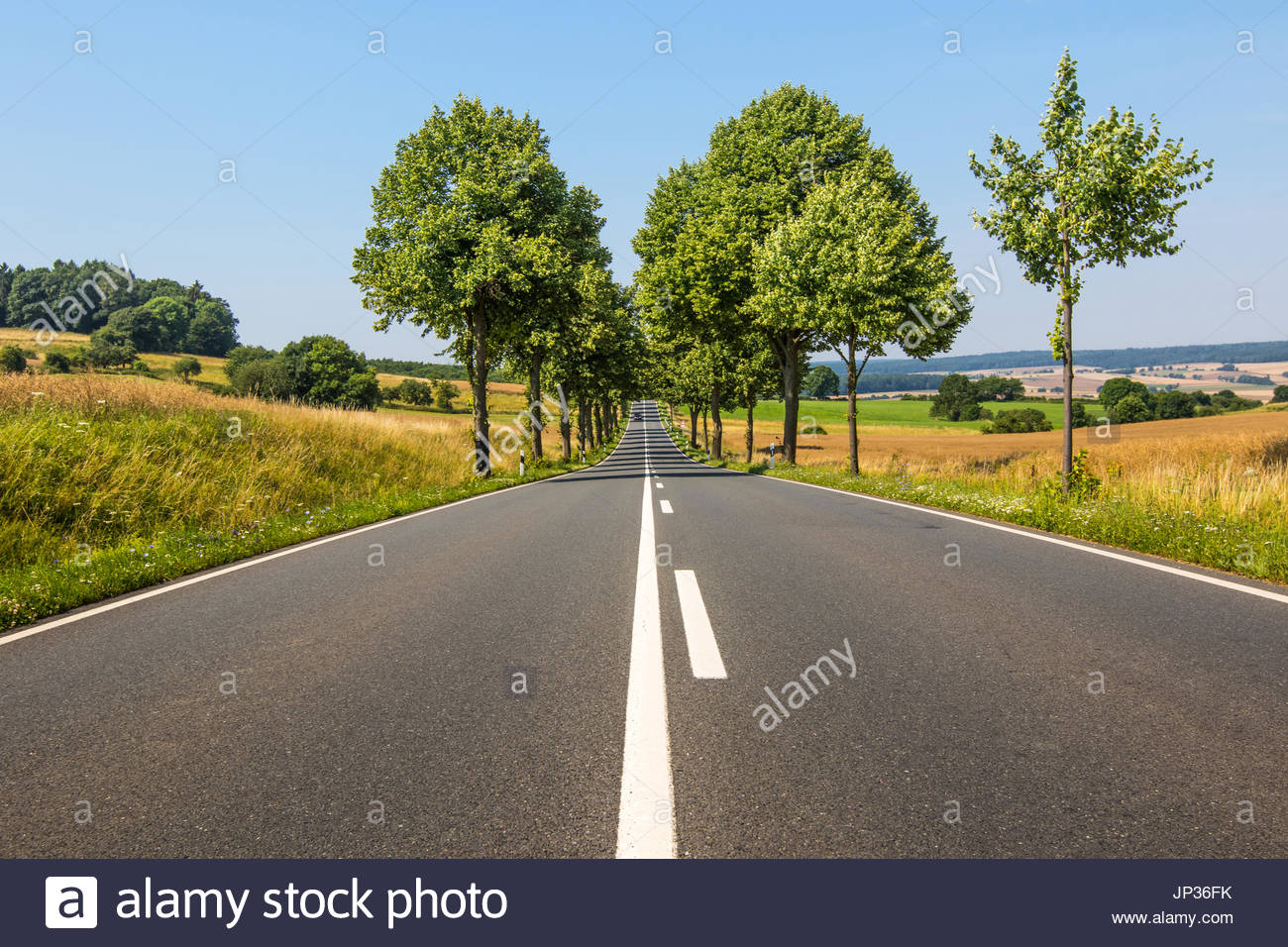 Medial Strip Stock Photos & Medial Strip Stock Images - Alamy