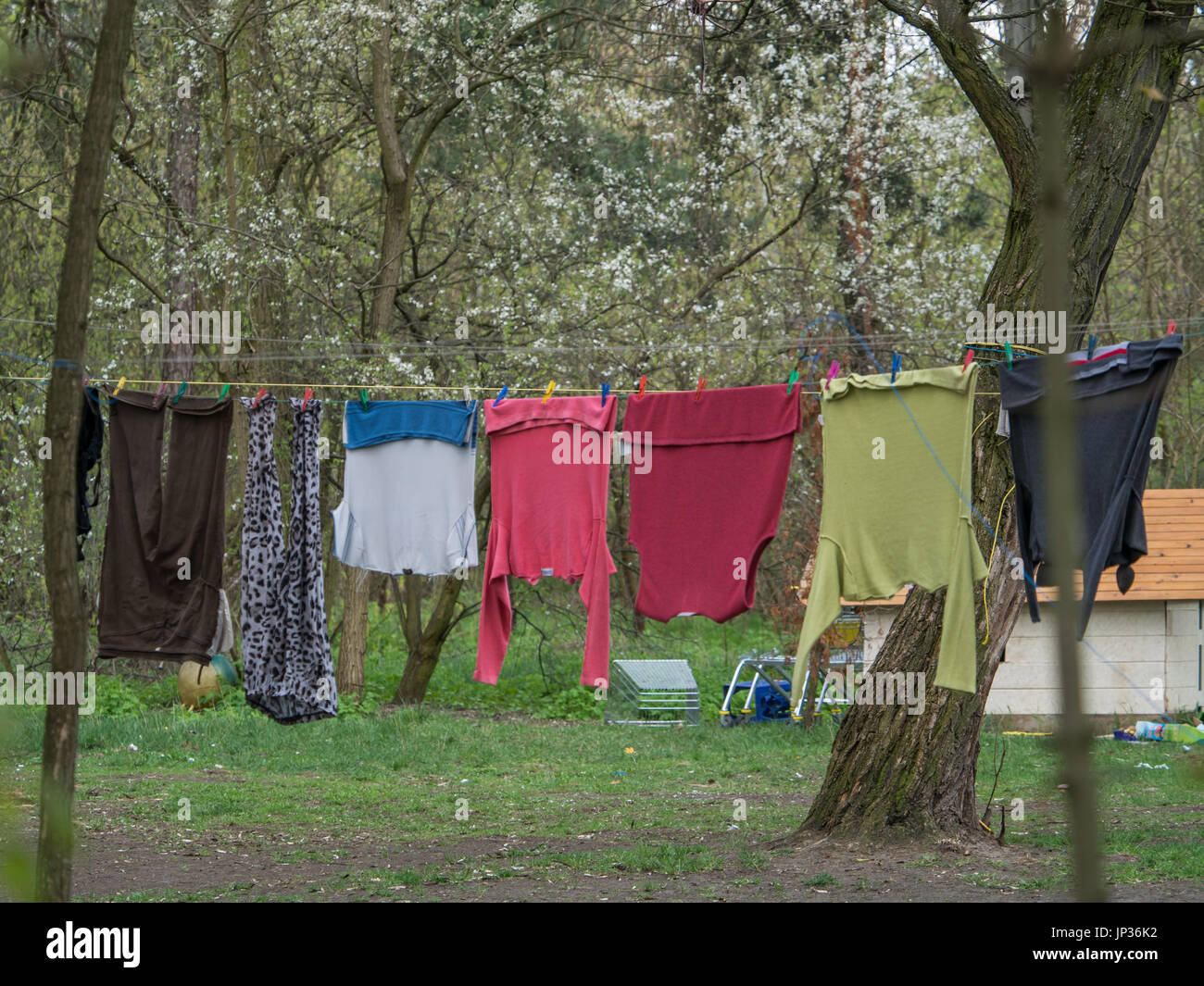 Colourful laundry clothes drying in the garden Stock Photo