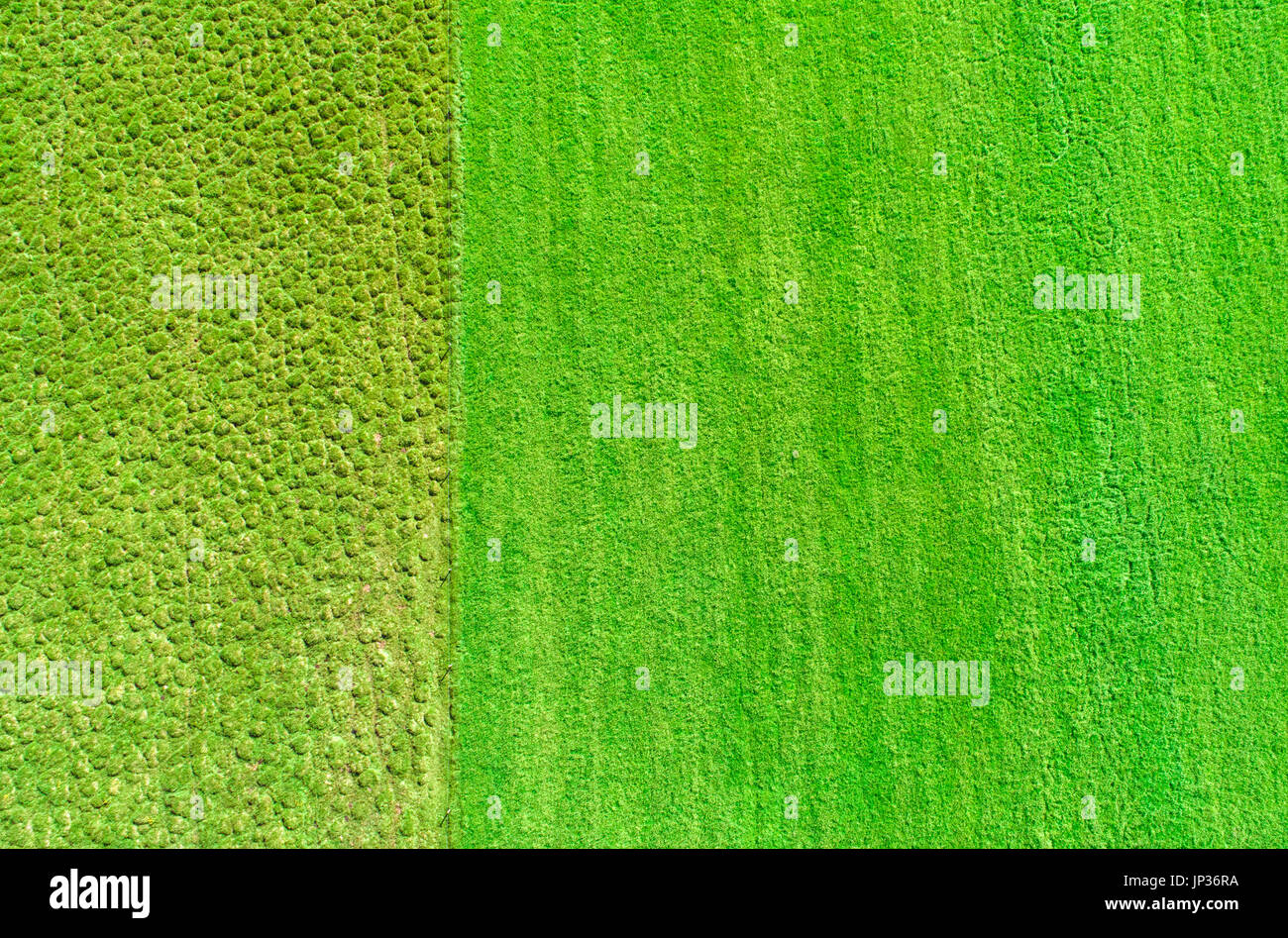 Aerial image Farmers field and uncultivated land seen from high above