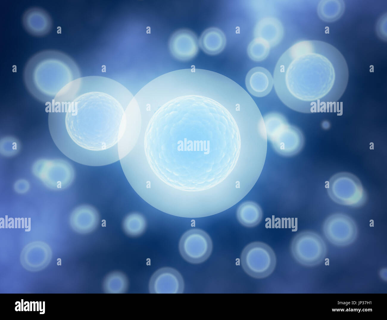 Egg cells science illustration Stock Photo