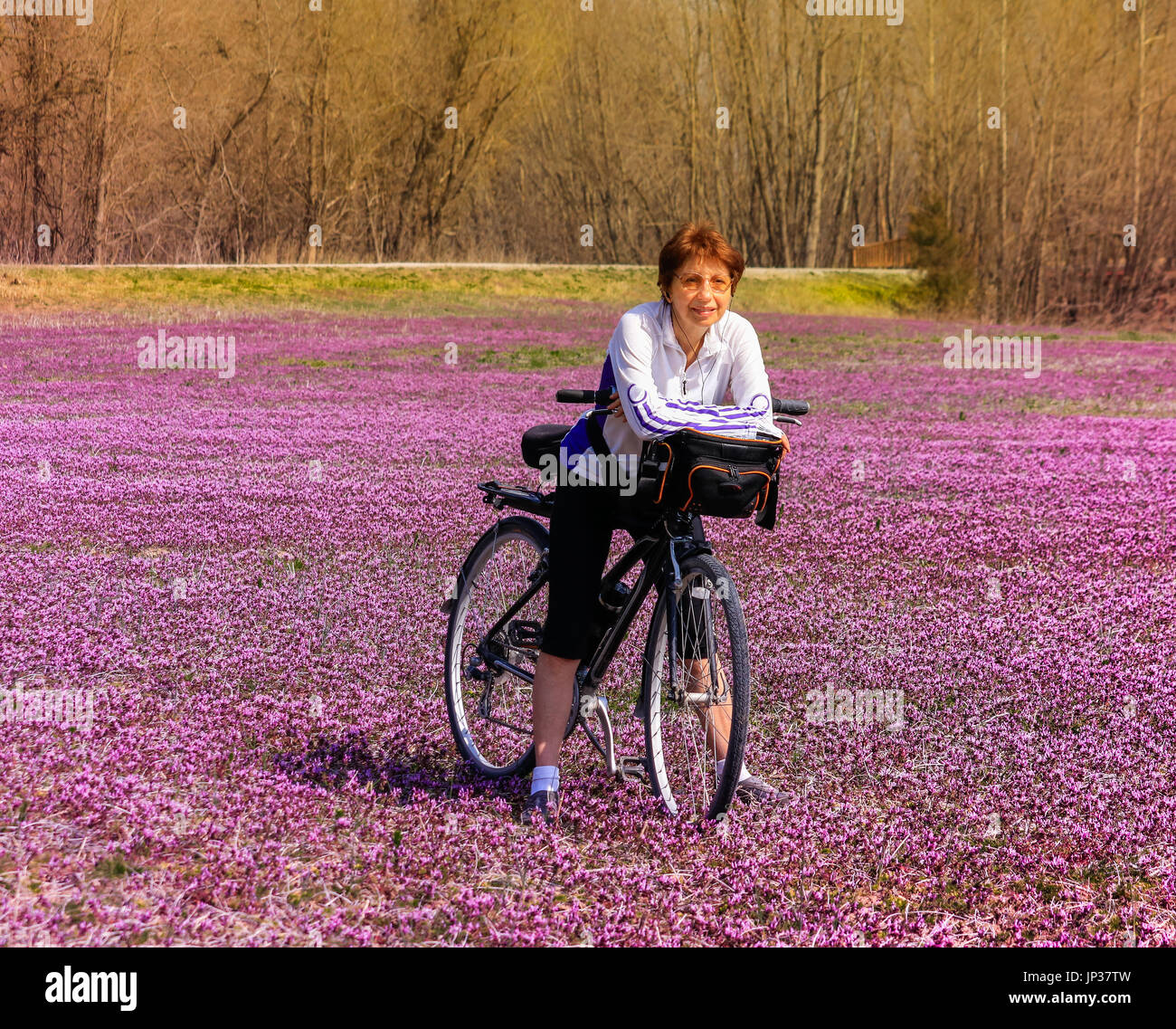 Middle aged woman bicyclist leaning on her bike in the middle of a field covered with purple wildflowers; Missouri, Midwest Stock Photo