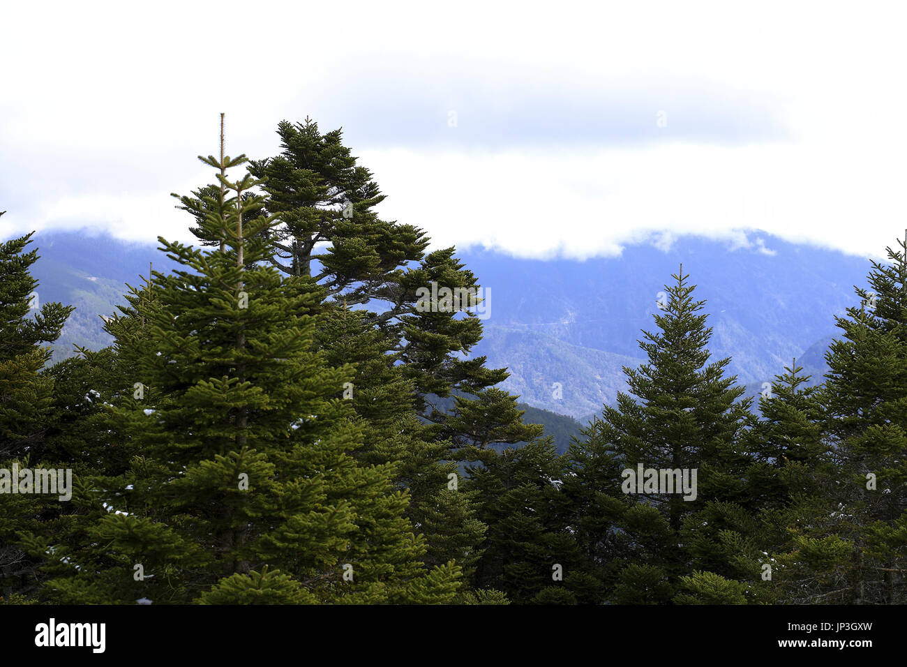Majestic taroko national park hi-res stock photography and images - Alamy