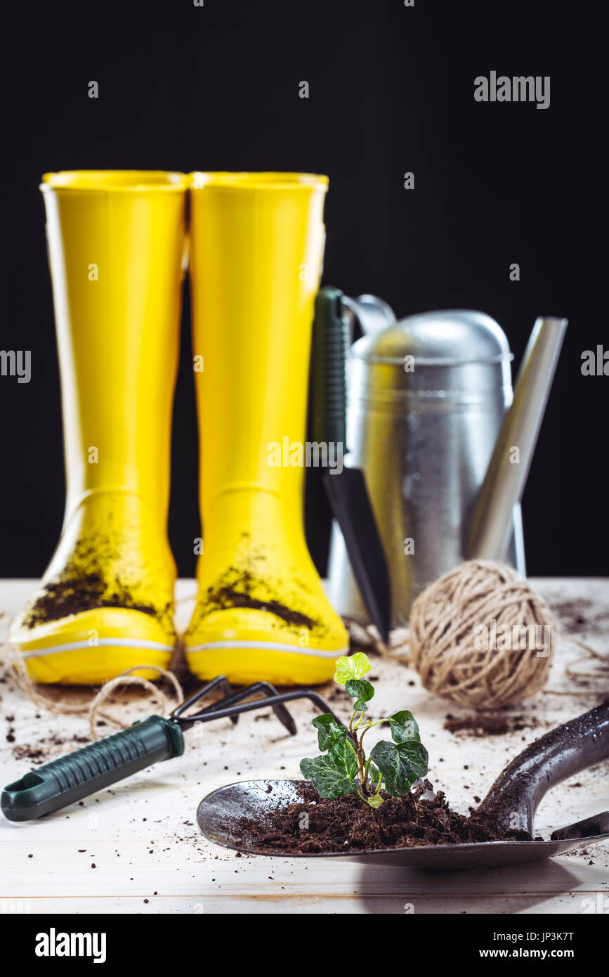 Close-up view of yellow rubber boots and garden boots isolated on black Stock Photo