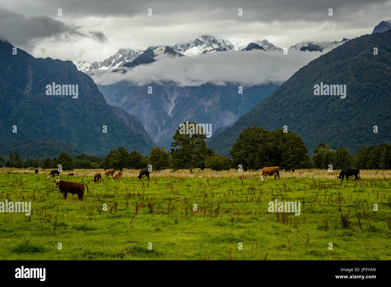 Beautiful Landscape From New Zealand Mountains With Clouds In The Stock Photo Alamy