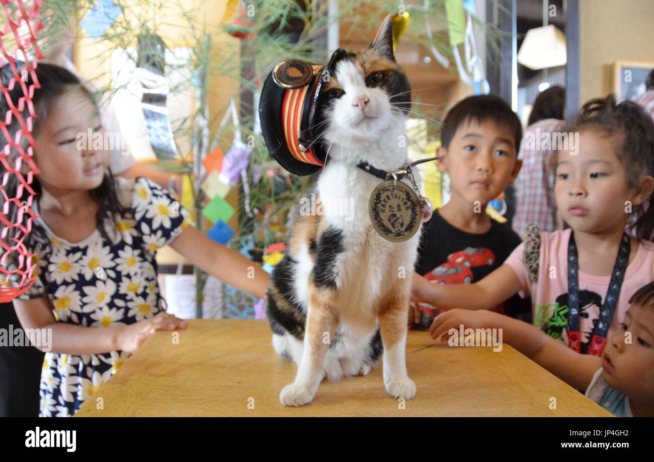 WAKAYAMA, Japan Cat station master "Tama" of Kishi Station on the