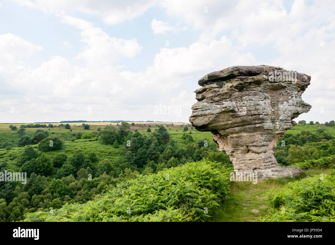 The Pepperpot, one of the Low Bridestones on the North York Moors is