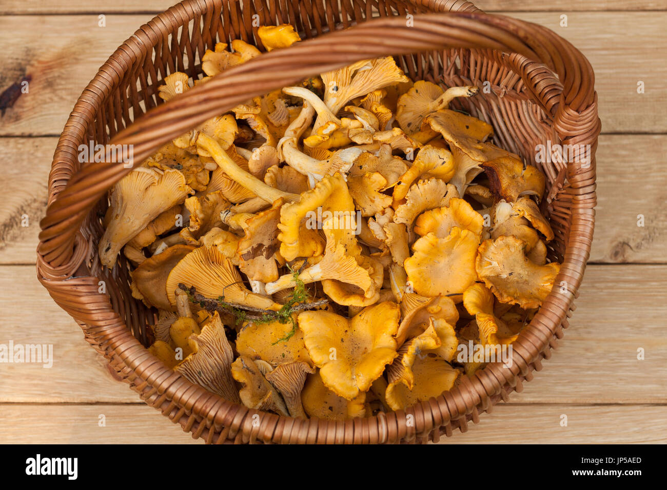 Mushrooms Chanterelle. Edible Mushrooms Chanterelle In Wicker Basket On Wooden Table. Top View. Stock Photo