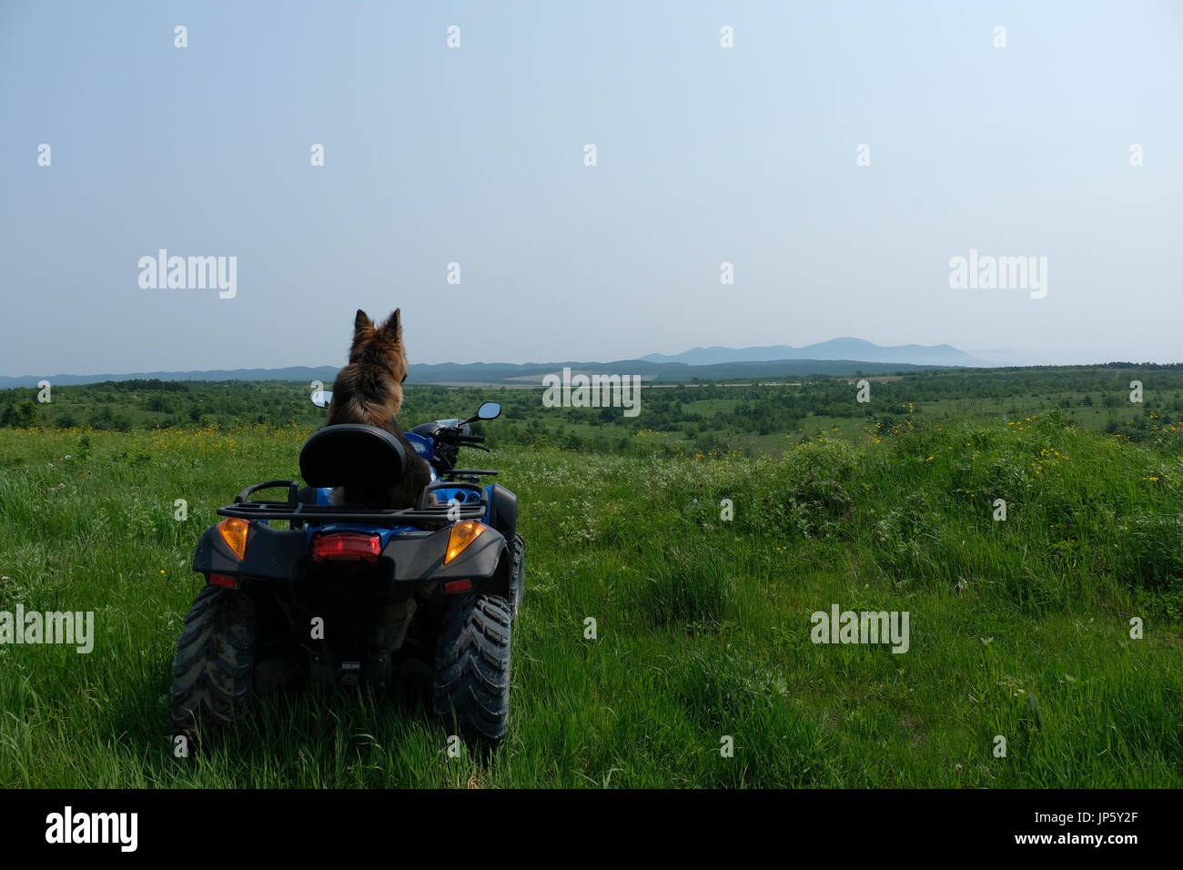 A German shepherd dog sits on an all-terrain quad bike vehicle ATV in a mountainous area in the south eastern side of the island of Sakhalin, in the Pacific Ocean. Russia Stock Photo