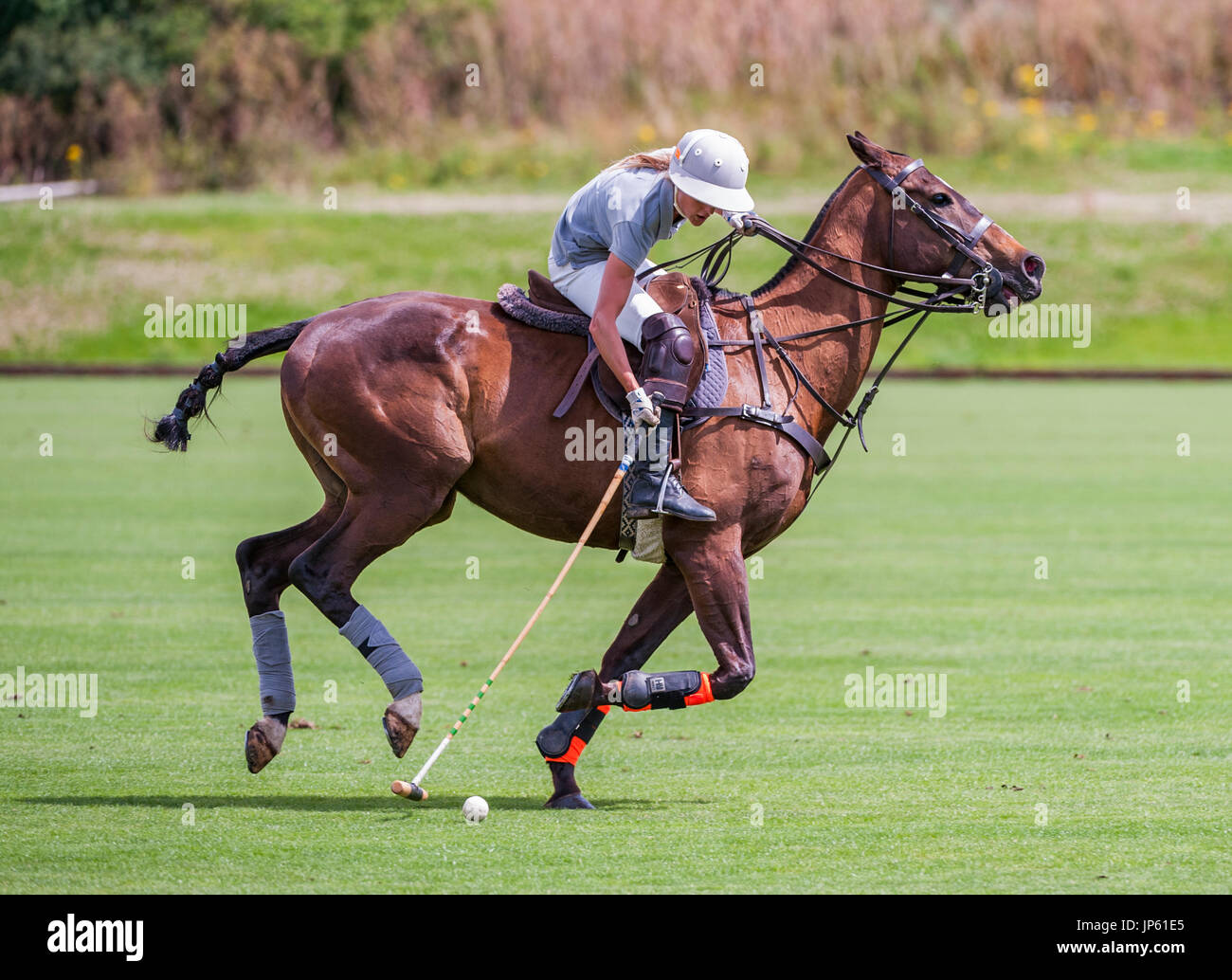 Leadenham Polo Club, Lincolnshire, England A polo match being played