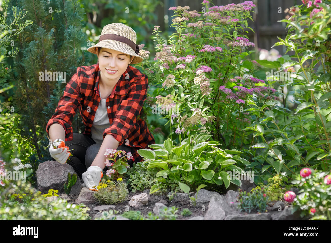 Pulling weeds hi-res stock photography and images - Alamy