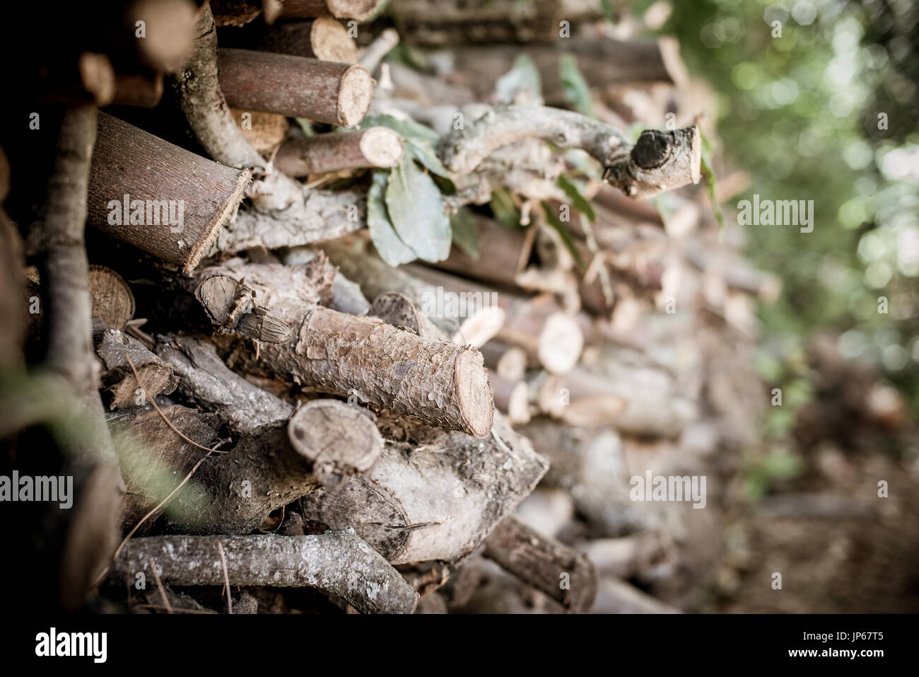 Closeup of big dry firewood log stack, natural combustible Stock Photo