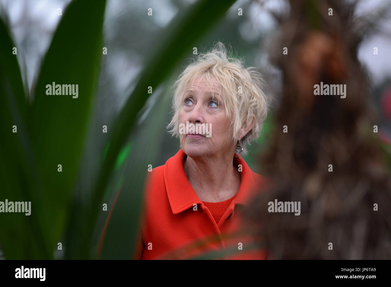 Picture shows Carol Klein, gardening expert and TV presenter on BBC's Gardening World programme since 2005. Stock Photo