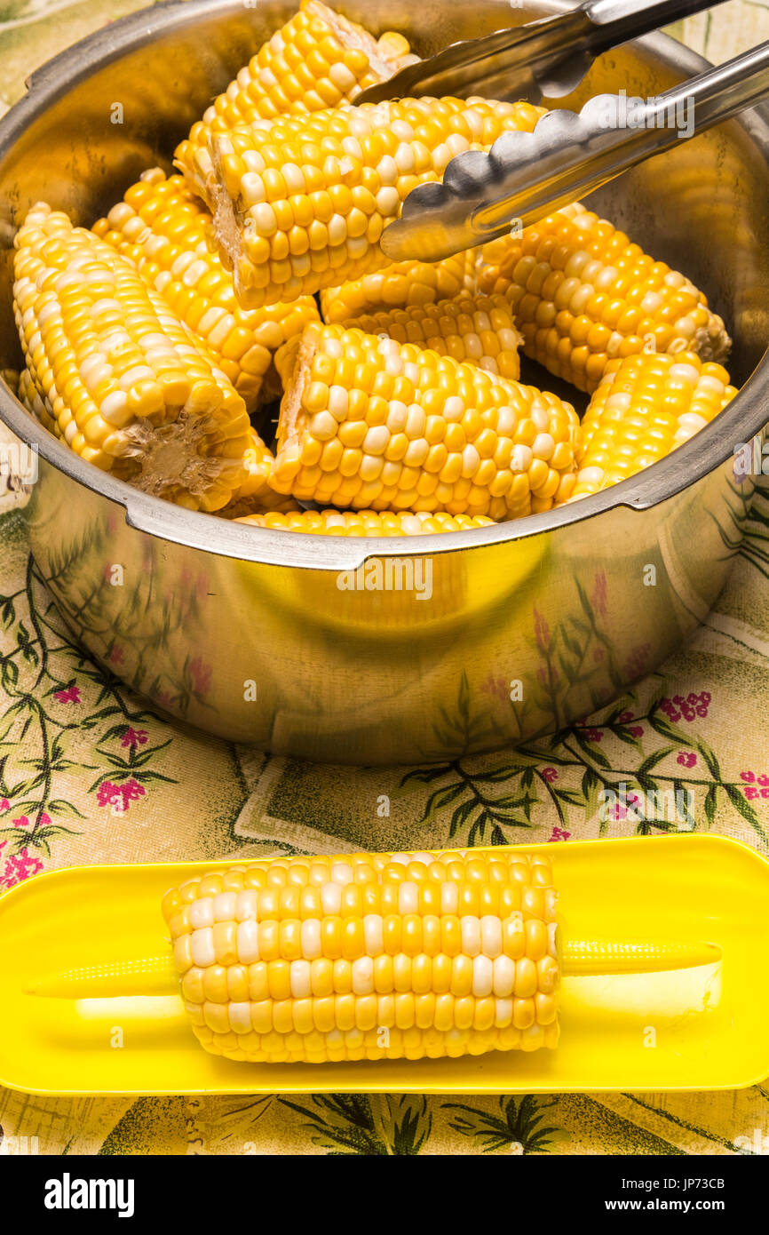 corn on the cob in pressure cooker Stock Photo Alamy