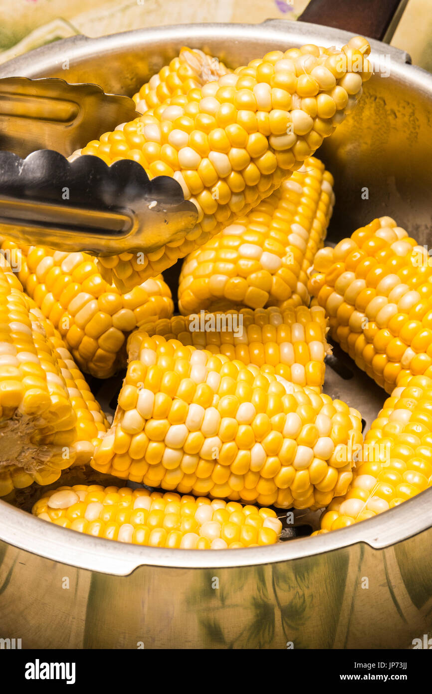 corn on the cob in pressure cooker Stock Photo Alamy