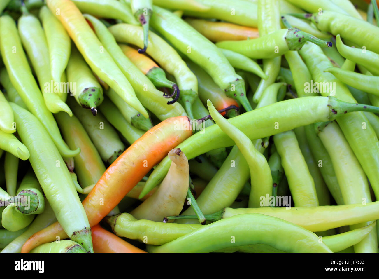 green chilli background Stock Photo - Alamy