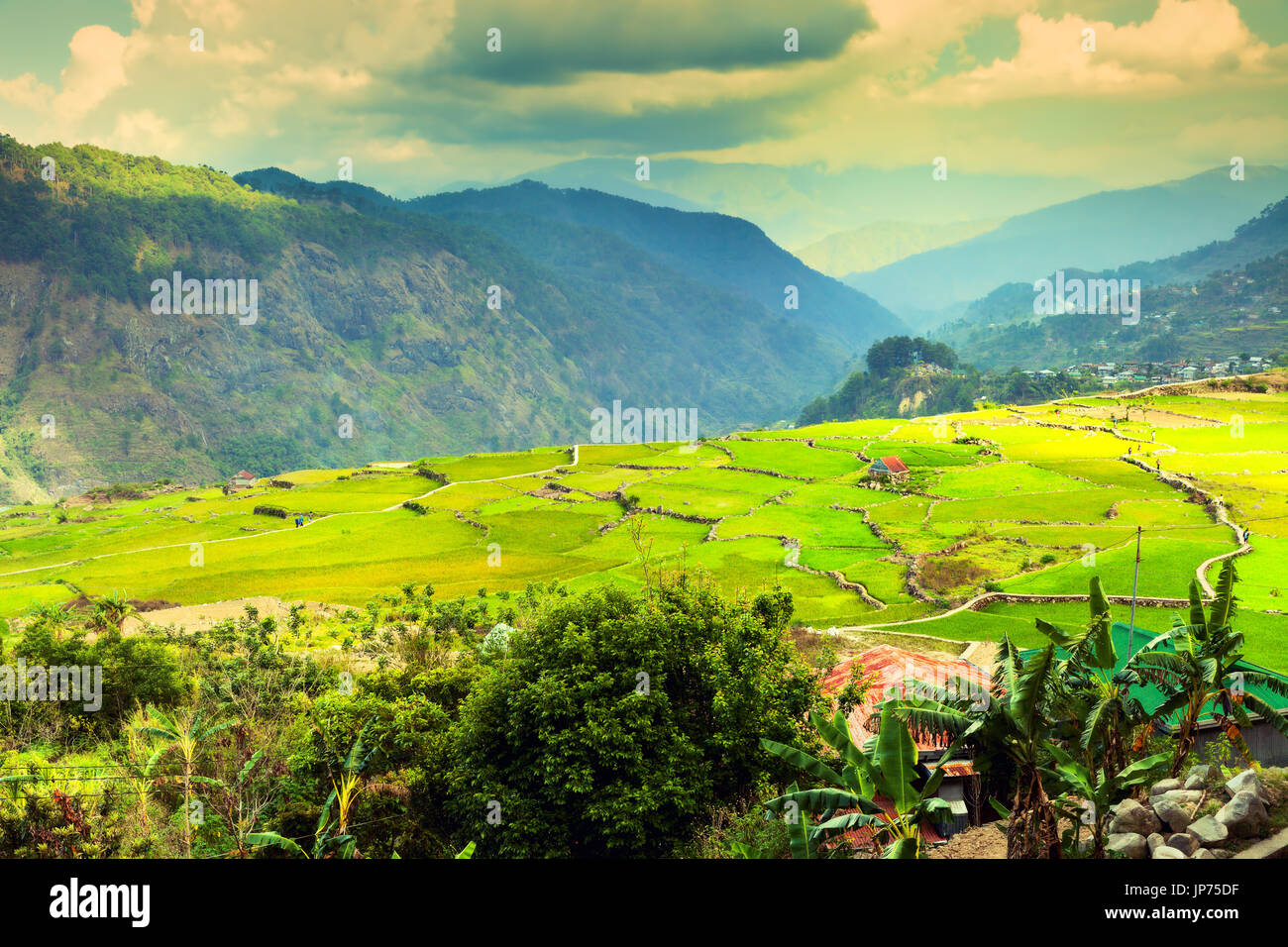 Amazing rice terraces landscape hi-res stock photography and images - Alamy