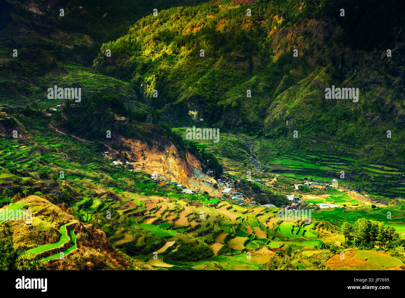 Heart Rice Paddy Vietnam rice paddy field hi-res stock photography and images - Alamy
