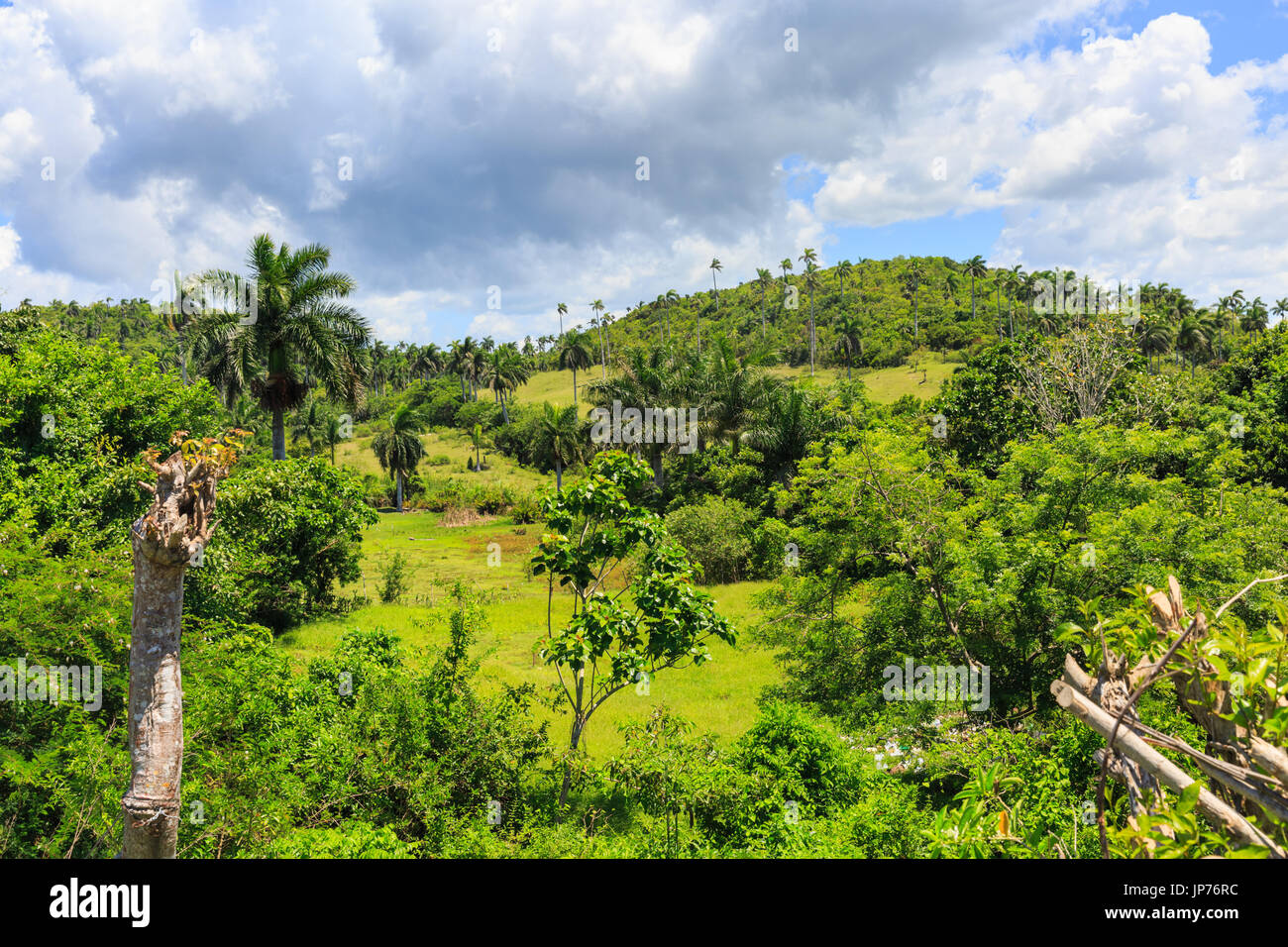 Lush green countryside landscape in Jibacoa, Mayabeque Province, Cuba Stock Photo