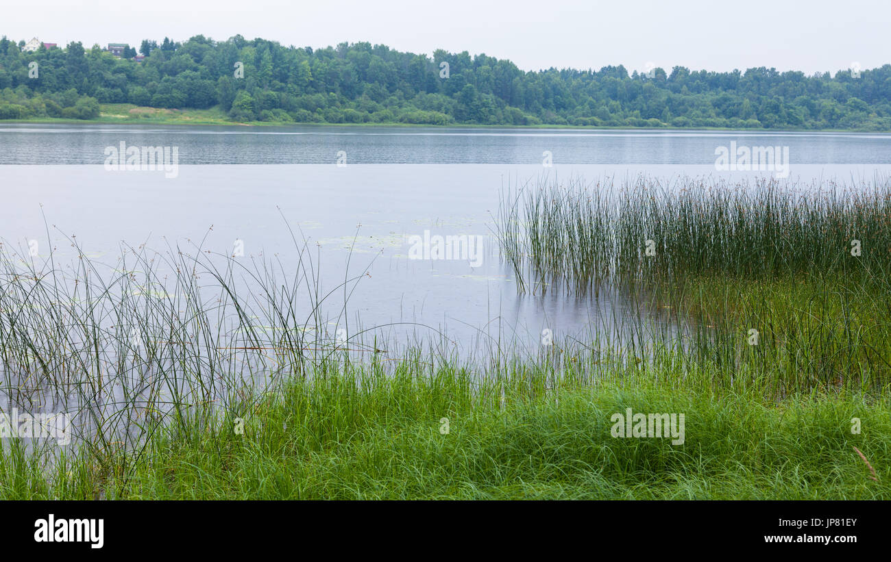 Lake on the Oredezh River in the Leningrad Region Stock Photo