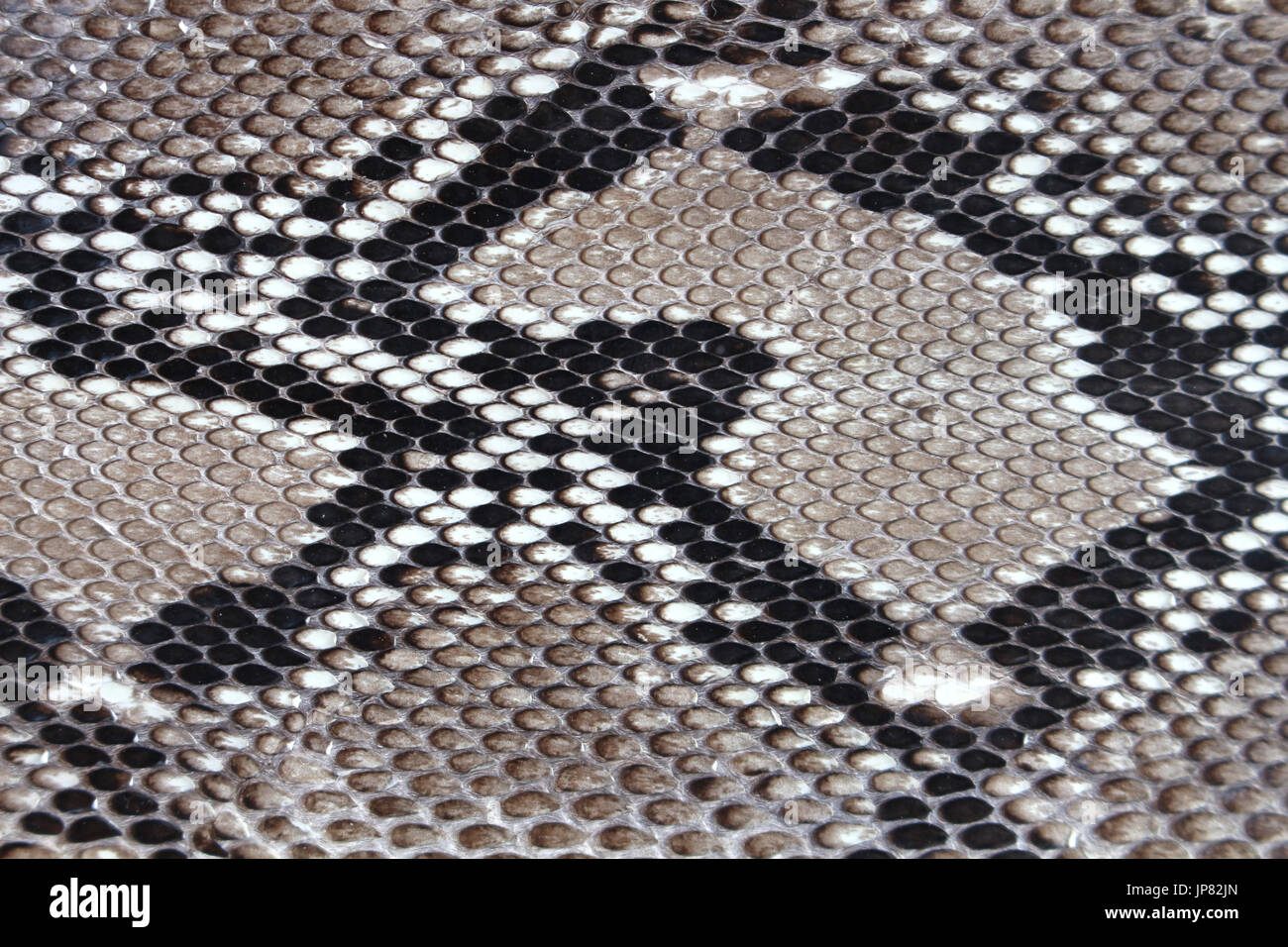 texture leather Snake skin Stock Photo