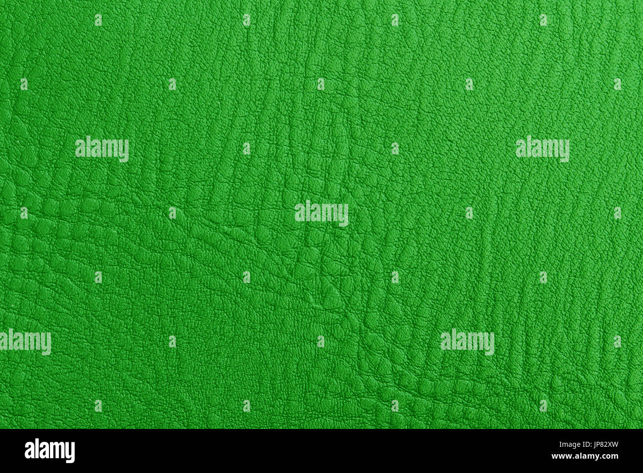 green texture leather skin Stock Photo