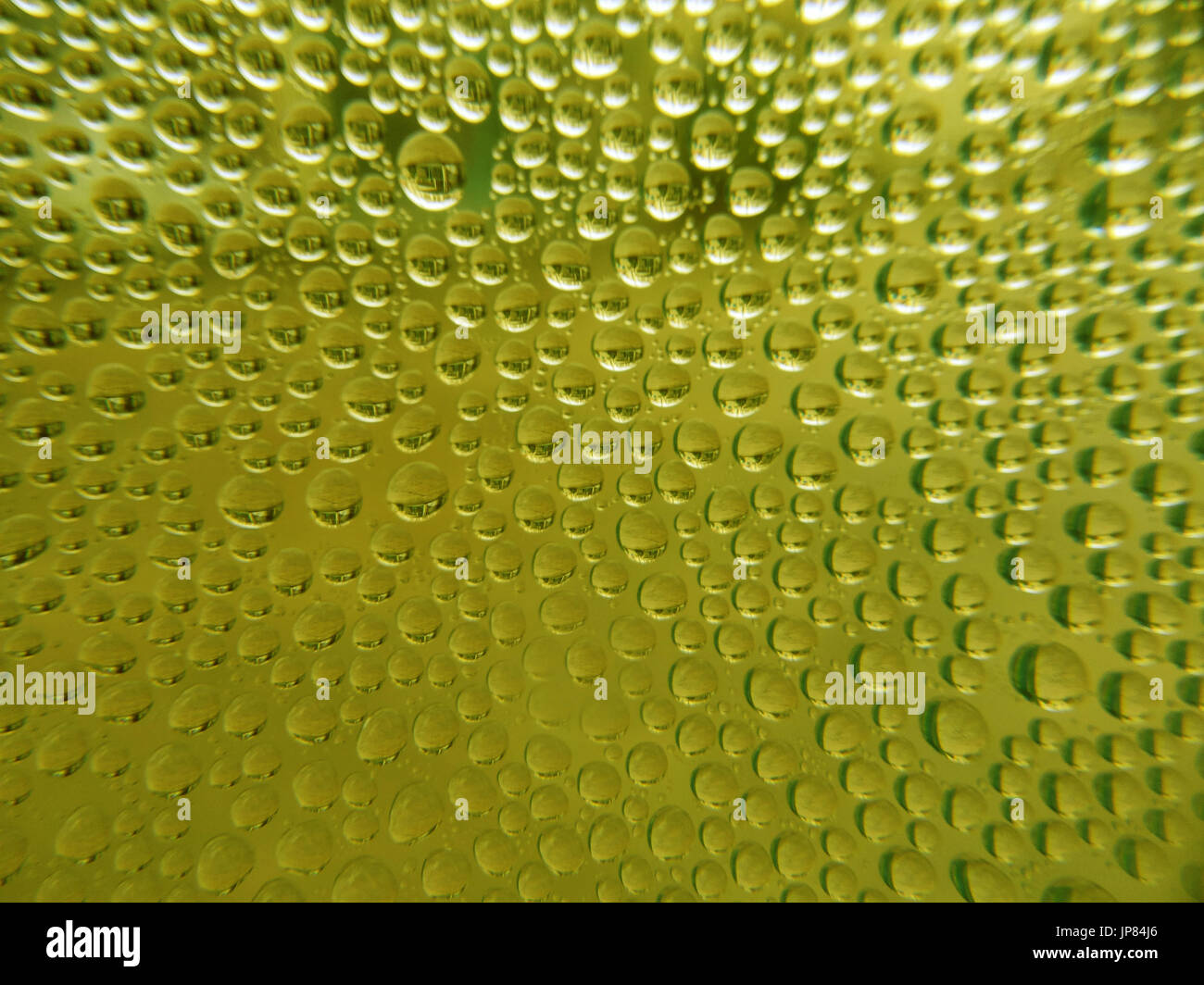 Green Drop water background Stock Photo Alamy