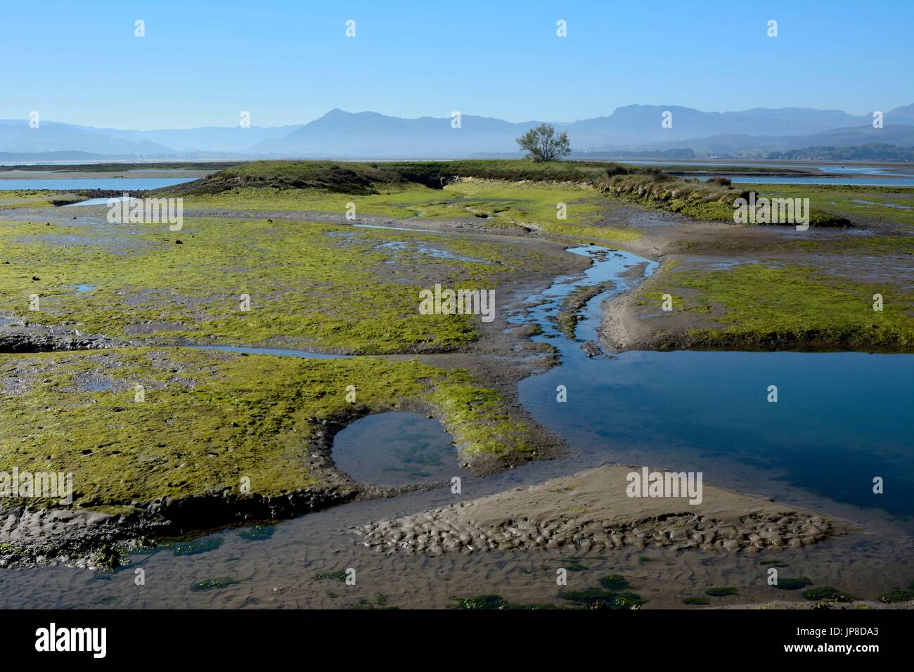 marshlands of Santoña Stock Photo