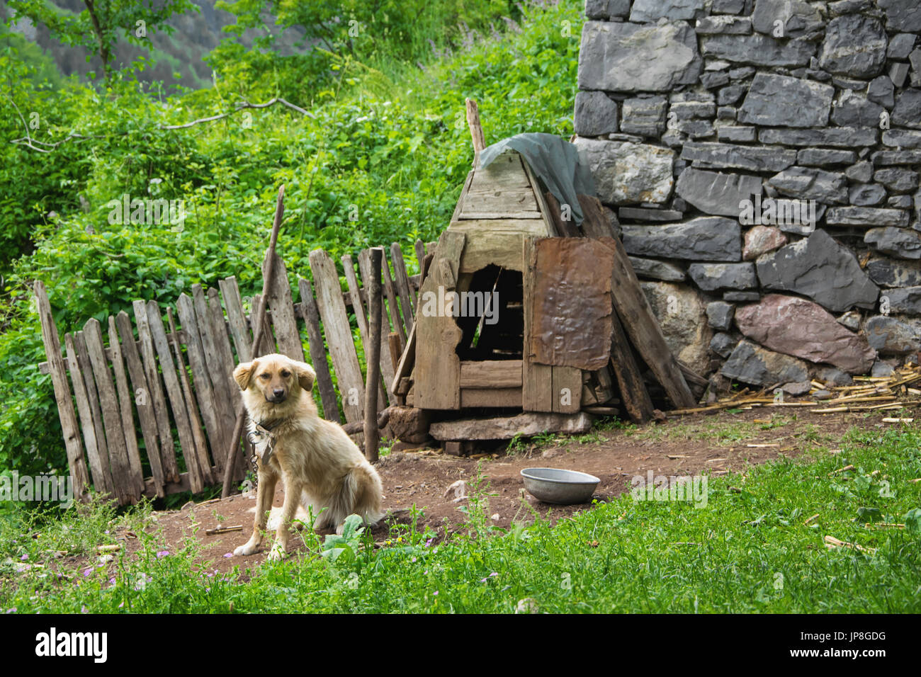 Rural traditional dog house in the mountain Stock Photo Alamy