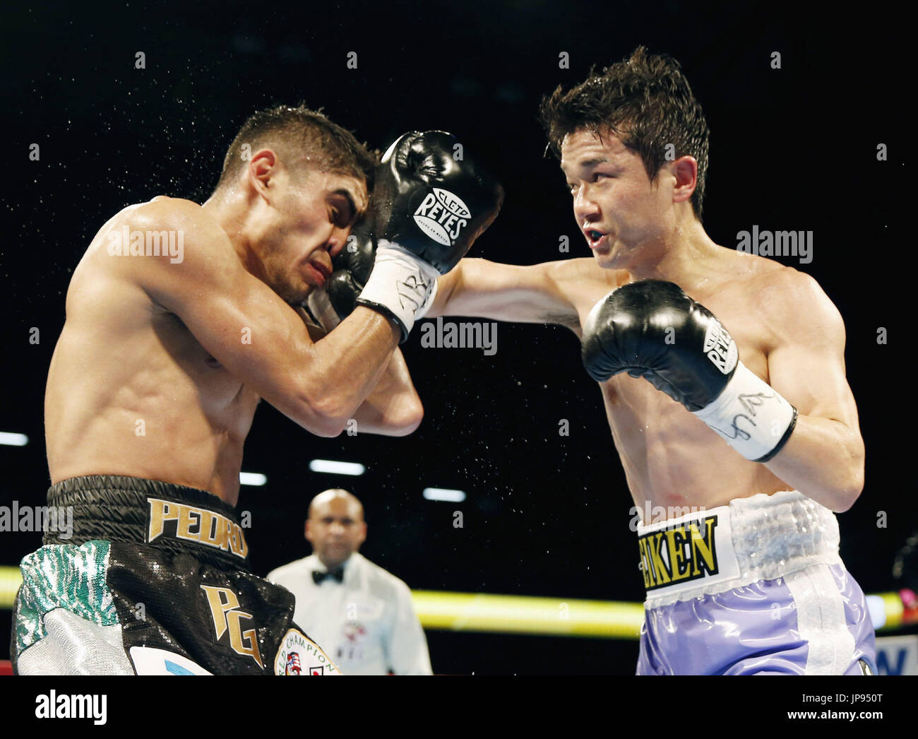 Challenger Yu Kimura of Japan delivers a punch to champion Pedro ...