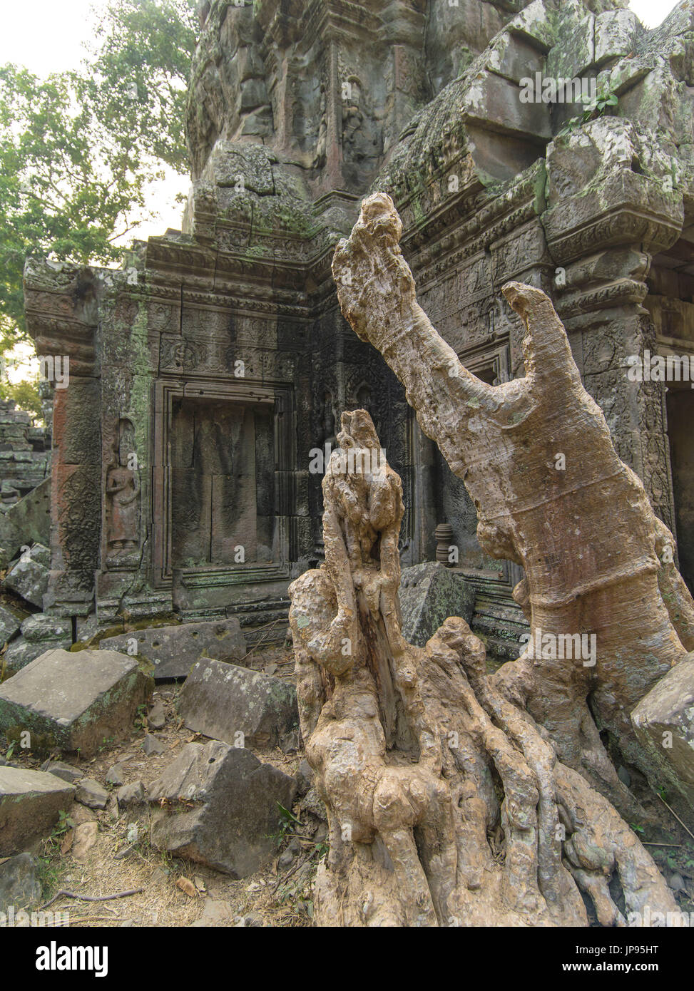 Ruins of Ta Prohm, Angkor Archaeological Park, Stock Photo